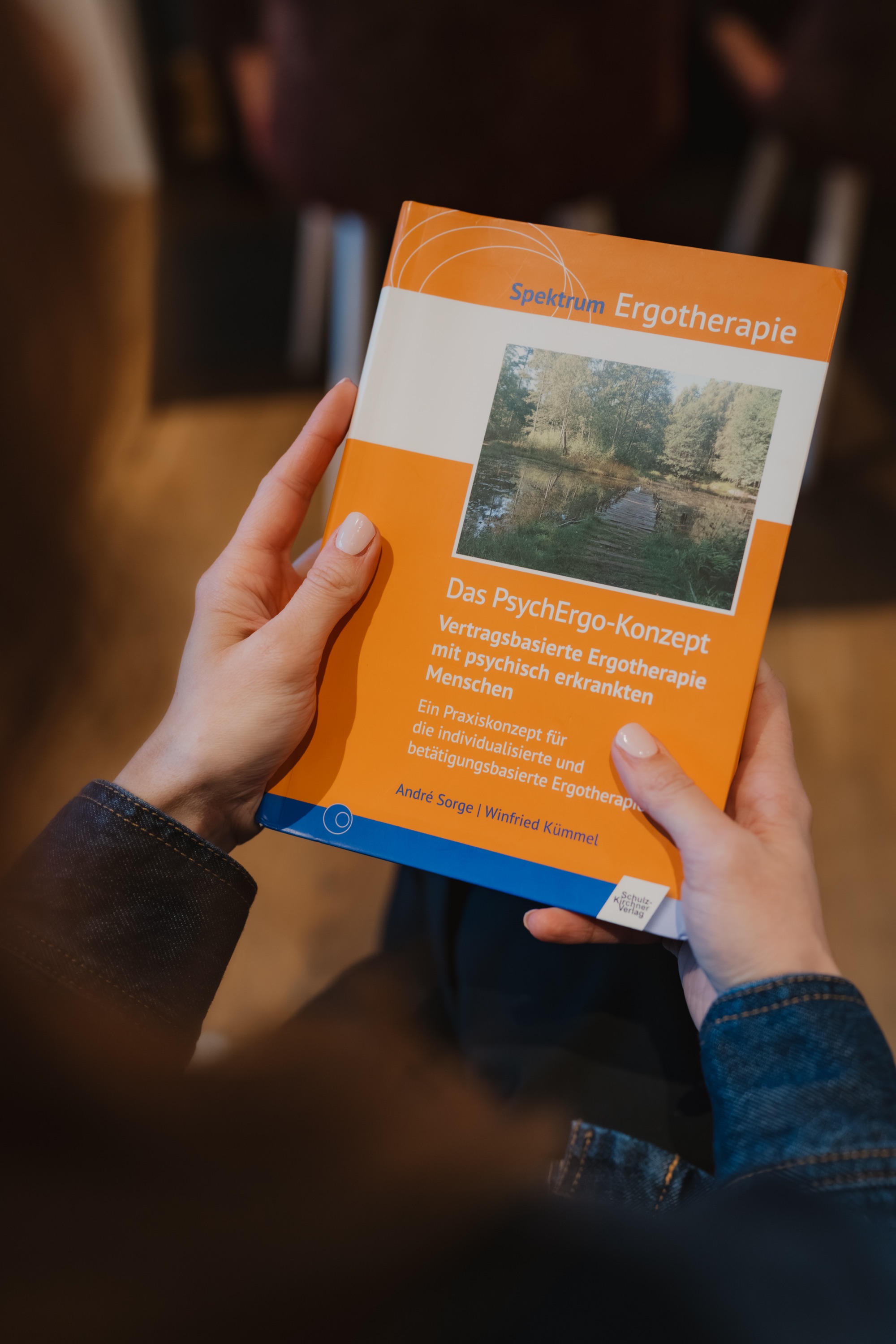 PsychErgo Publikationen – Header